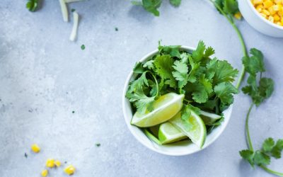 Fresh and Flavorful: The Ultimate Guide to Growing Cilantro Indoors
